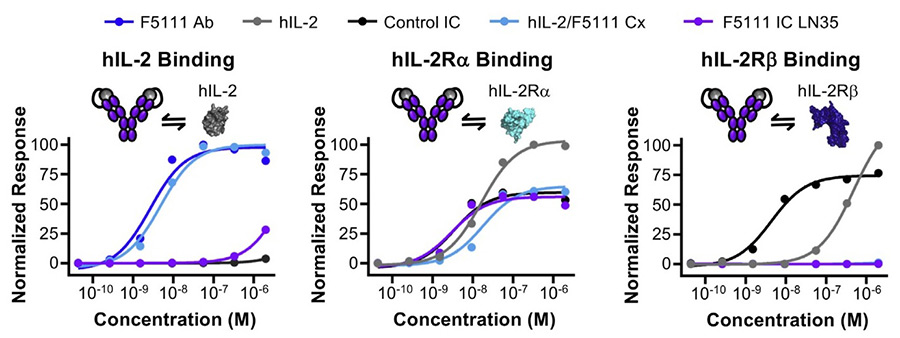 Figure 2. F5111 Figure 2. IC blocks IL-2 binding to IL-2Rβ and  biases toward Treg activation. Equilibrium biolayer interferometry-based titrations  of F5111 antibody (Ab), hIL-2, control IC, hIL-2/F5111 complex (Cx, 1:1 molar  ratio), and F5111 IC LN35 binding to hIL-2 (left), hIL-2Rα (middle), or hIL-2Rβ  (right).