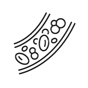 Vascular Endothelial Growth Factor