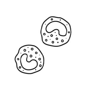 Transforming Growth Factor-beta