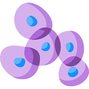 GLP-Compliant Transient Protein Expression