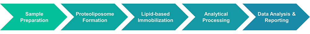 Service workflow of lipid-based protein immobilization