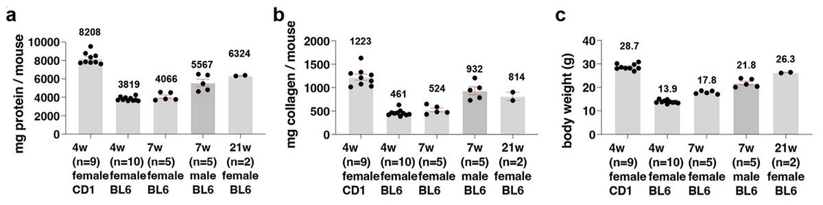 Protein and collagen content of a mouse and its mean body weight.