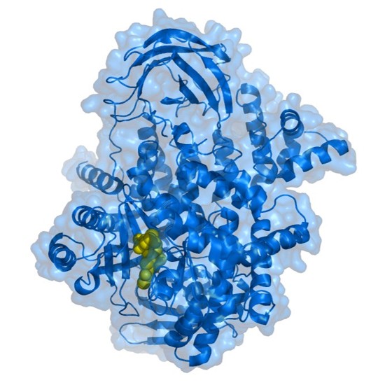 PI3 Kinase Activity ELISA