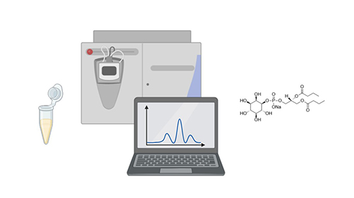 Mass Spectrometry-Based Quantification