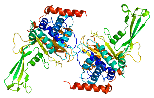 Structure of the USP7 protein, PDB 1nb8