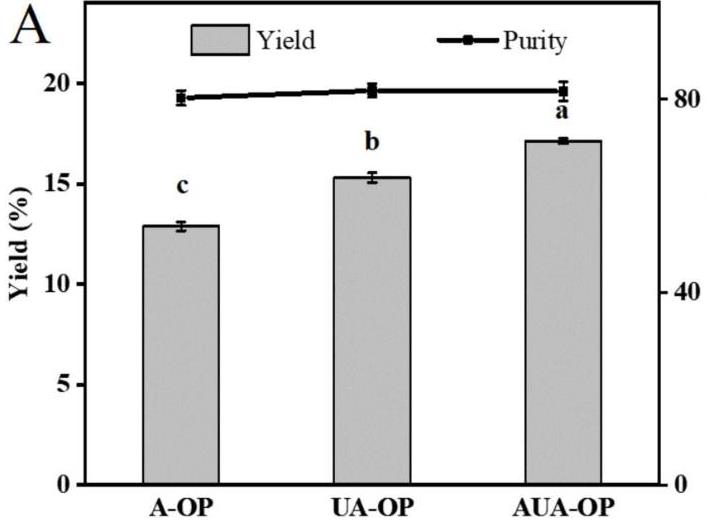 Fig. 2. Yield and purity of A-OP, UA-OP, and AUA-OP. (Tang L,
                        <em>et al.</em>
                        Ultrason Sonochem. 2024)