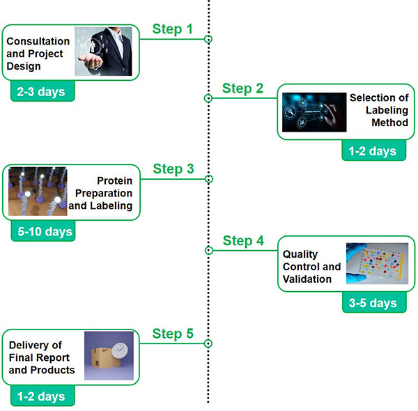 What is Immuno-Oncology?