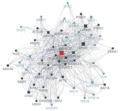 Protein network construction with topological structure analysis