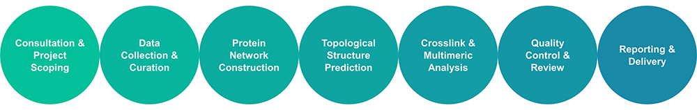 Workflow diagram for protein network construction and topological analysis