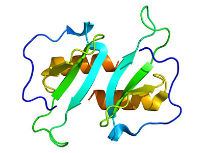 3D structure of CCL20 protein, PDB 1m8a