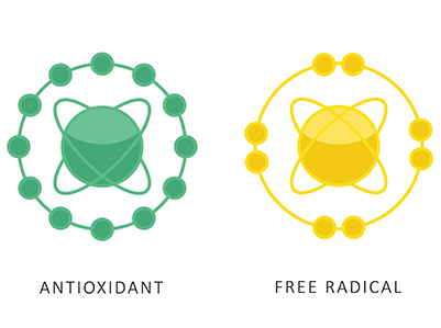 Antioxidant free radical