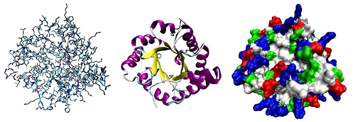Visualization of protein sequence and 3D structure