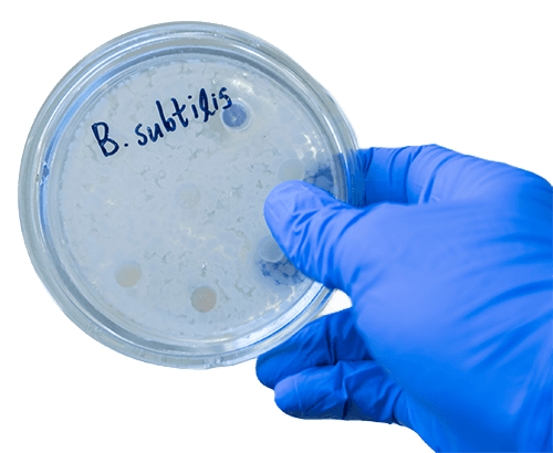 Special cell-based display platform for protein engineering at Creative BioMart