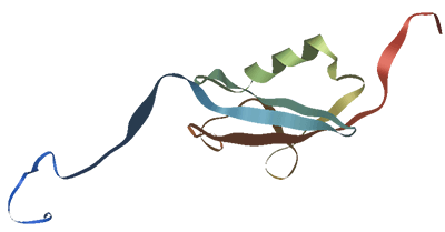 Structure diagram of human SUMO1 protein