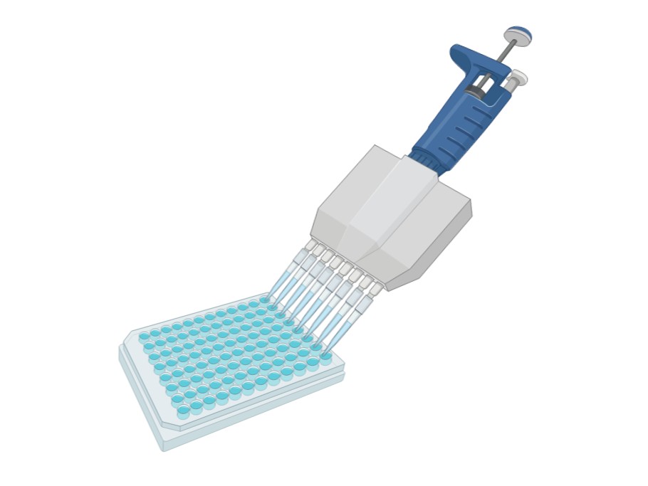 Multiplex transcription factor arrays