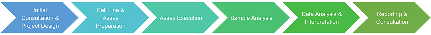 Transporter screening assay service procedure.