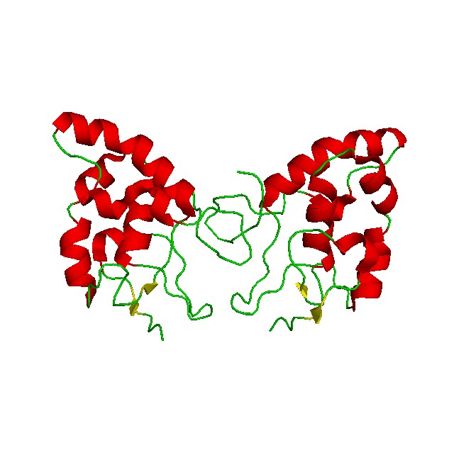 Class F (Frizzled/Smoothened GPCRs)