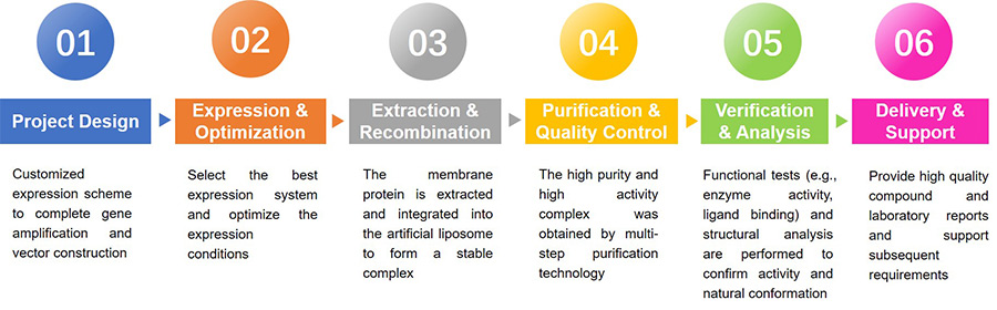 Fig. 1. Integral membrane proteins in liposomes. (Majeed,
          <em>et al.</em>2021)