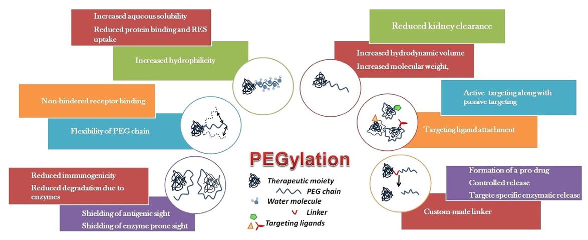 Fig.  1. Outcomes of PEGylation. (Kolate, <em>et al.,</em> 2014)