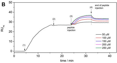 Fig.  1. Outcomes of PEGylation. (Kolate, <em>et al.,</em> 2014)