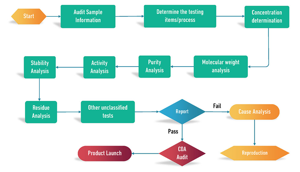 Quality Management Process