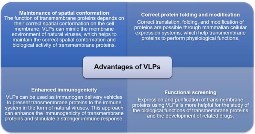 Introduction to Virus-Like Particles (VLPs)