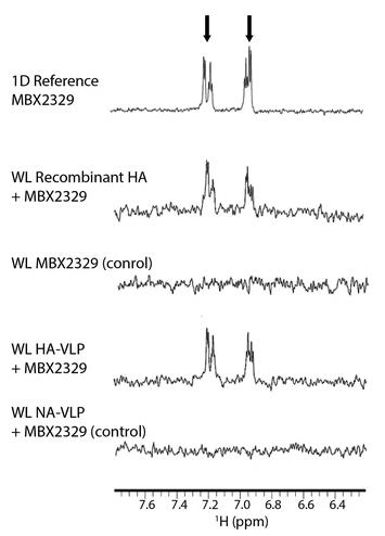 Fig. 3. WL NMR spectra of the MBX2329 interaction with recombinant HA and HA embedded in VLP. (Antanasijevic,
          <em>et al.</em>
          2016)