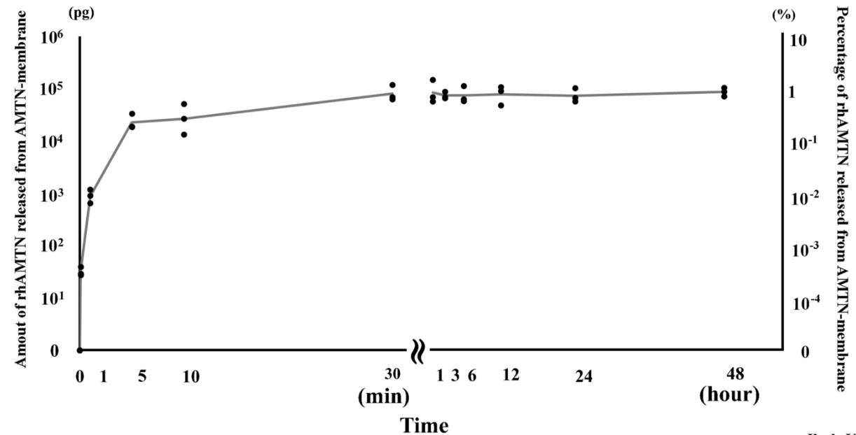 AMTN-221H-4.jpg