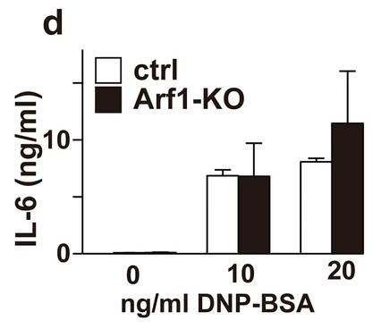 ARF1-9799H-4.jpg