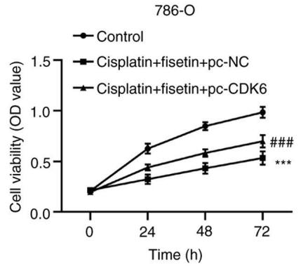 CDK6-4.jpg