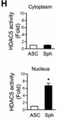 HDAC5-3.jpg