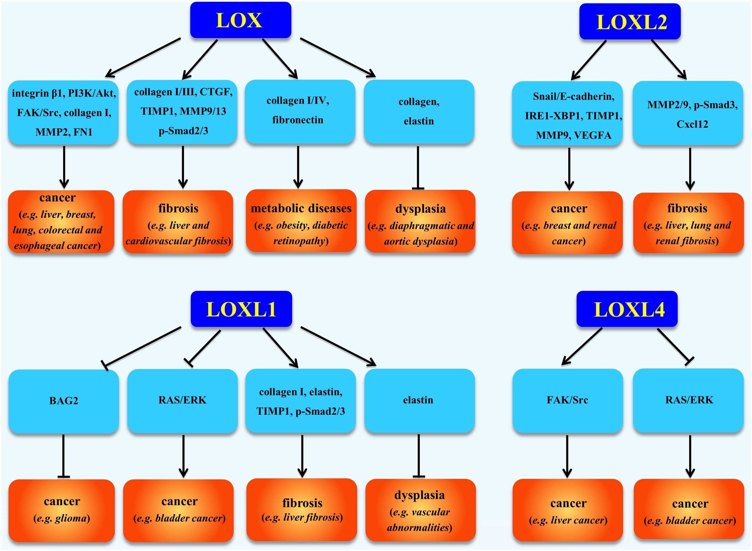 LOX-9184M-5.jpg