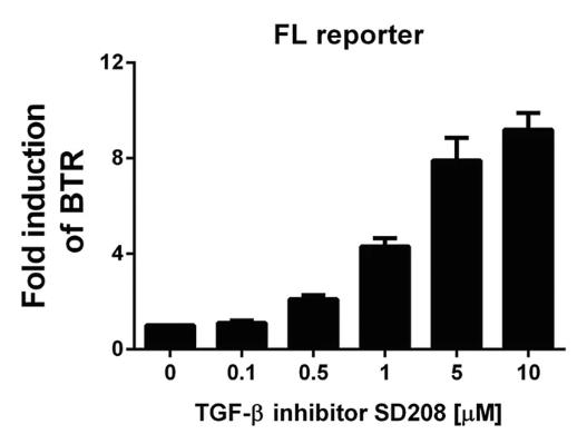 Luciferase-787F-3.jpg