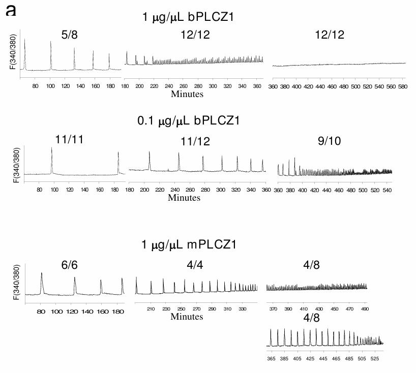 PLCZ1-3.jpg