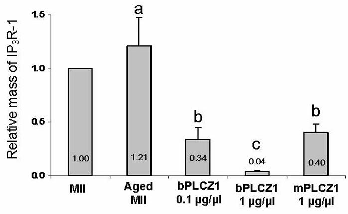 PLCZ1-4.jpg