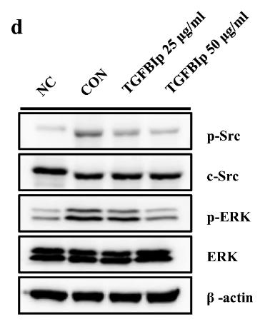 TGFBI-1.jpg