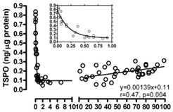 TSPO-1.jpg