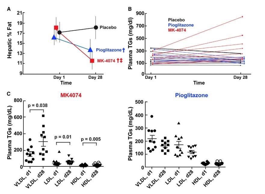 MK-4074 reduced hepatic TGs but increased plasma TGs in a 4-week study with 30 patients.