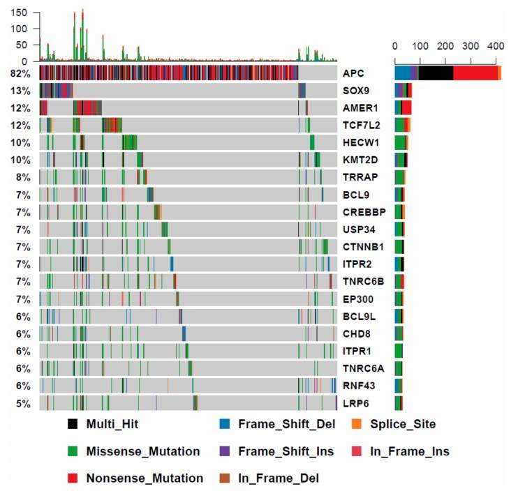 Mutational landscape of WNT pathway regulators in BRAF wild-type cancers.