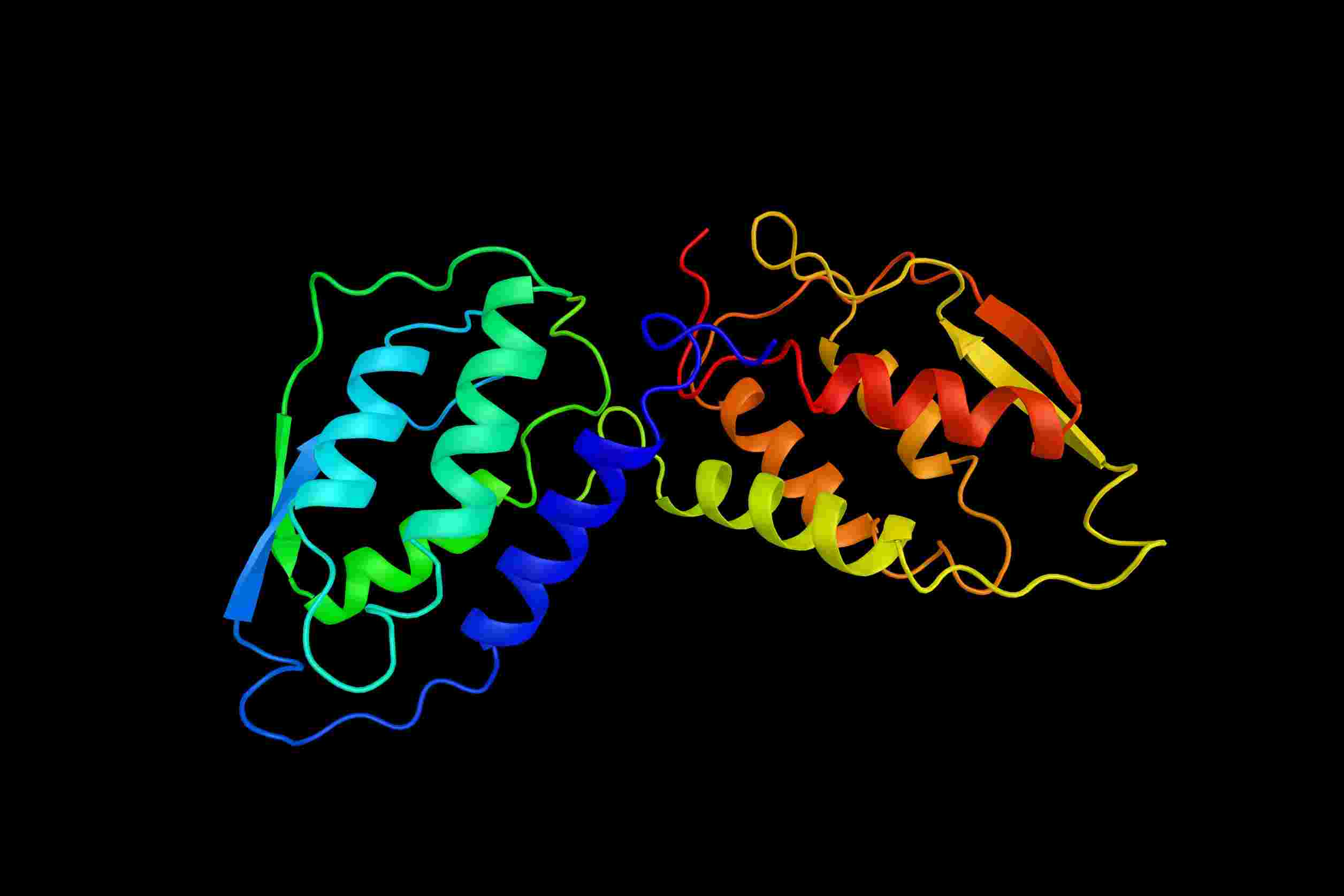 GM-CSF - Creative BioMart