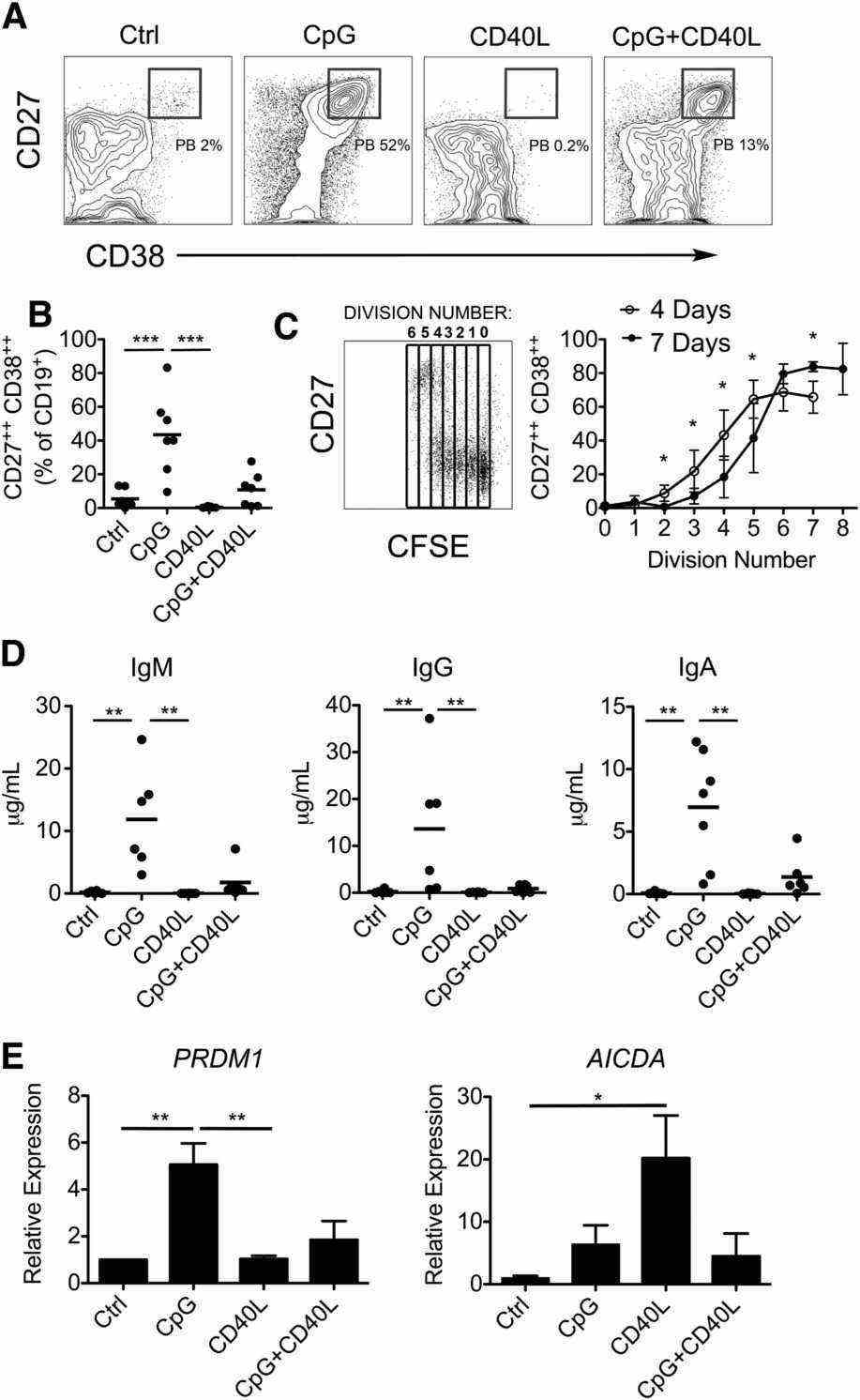 In vitro activation of B cells with TI and TD stimulation.