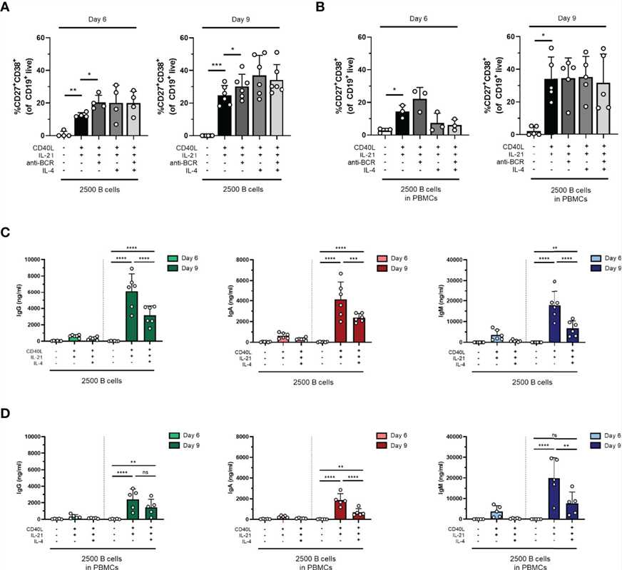 The addition of anti-BCR stimuli in a T-cell-dependent stimulation results in increased B-cell differentiation, while IL-4 severely inhibits antibody production.