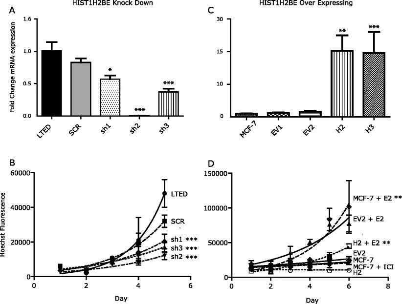 HIST1H2BE knockdown and overexpression affect growth of breast cancer cells.