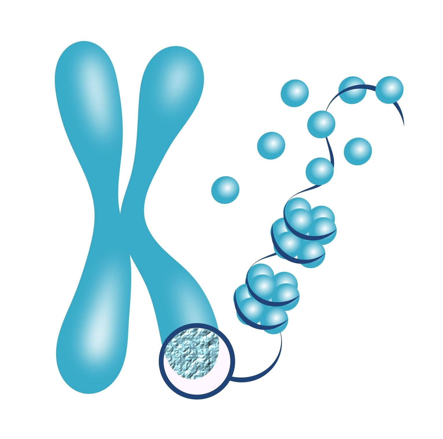 Histones 2 - Creative BioMart