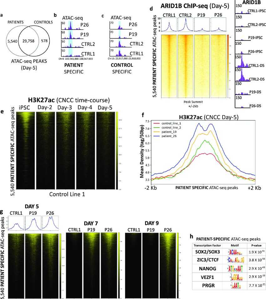 Chromatin remodeling at pluripotency enhancers is dysregulated in the patient cells.