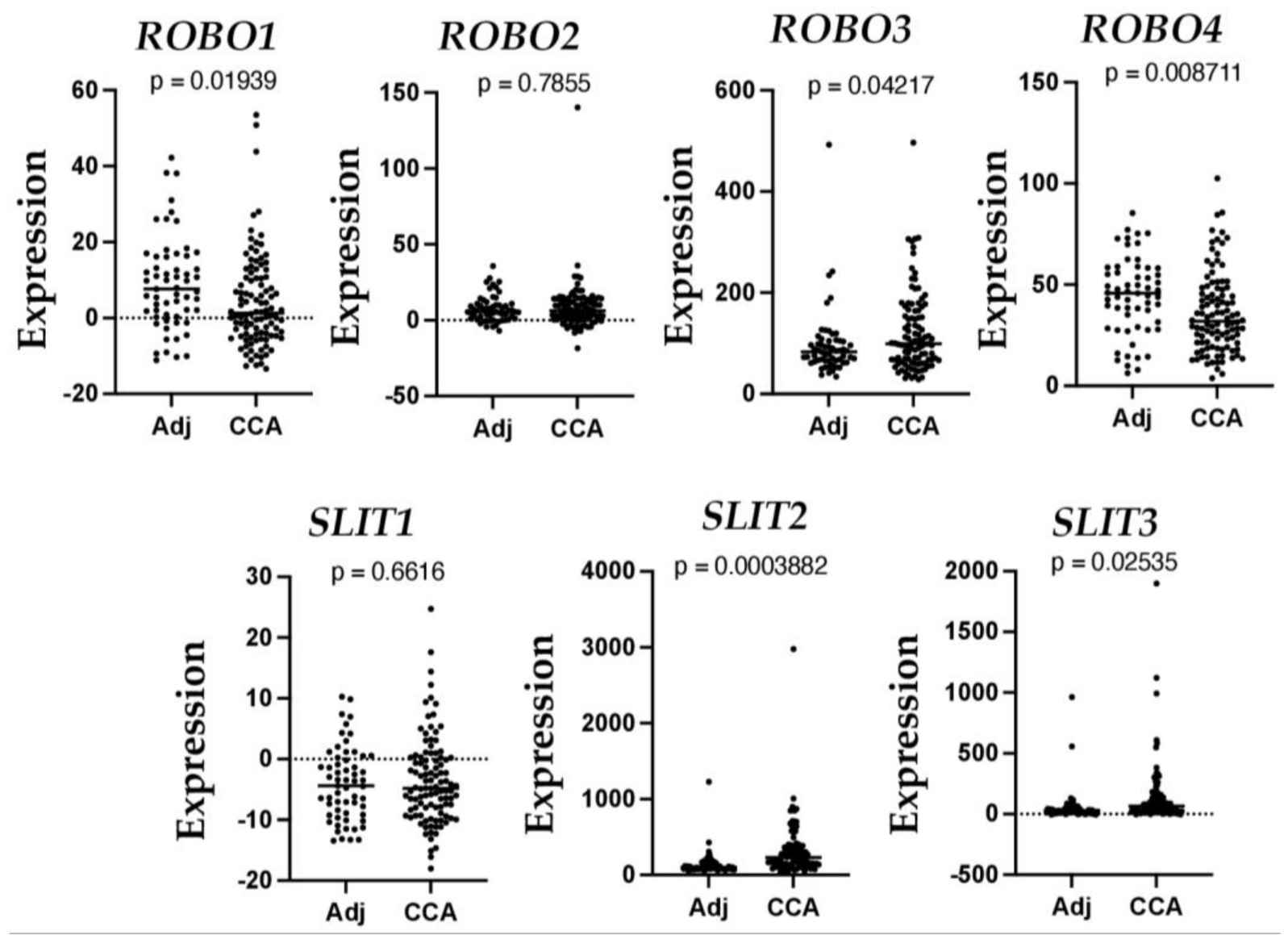 Altered mRNA levels of SLIT and ROBO in human CCA.