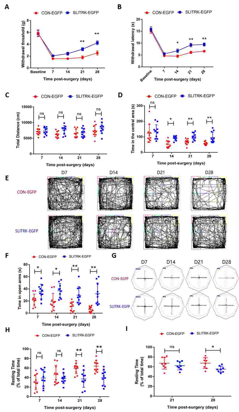 Effects of SLITRK1 overexpression on chronic pain and anxio-depressive disorders (ADD) comorbidities in spinal nerve ligation (SNL) mice.